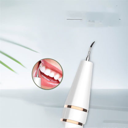Dental Scaler Ultrasonic Cleaning To Remove Dental Calculus - LA FEMME LOGA